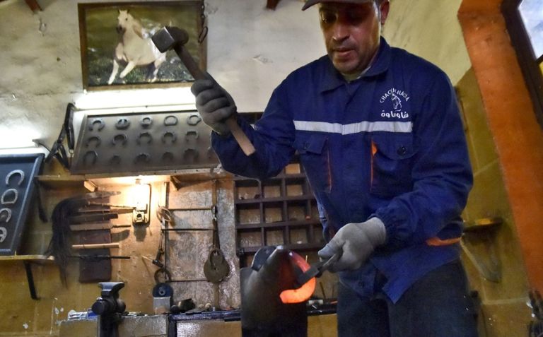  مداح العربي بطل الفروسية السابق وأحد آخر بياطير الجزائر