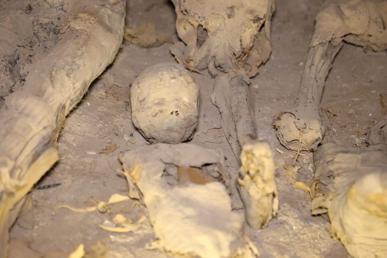 اكتشافات آثرية جديدة في صعيد مصر