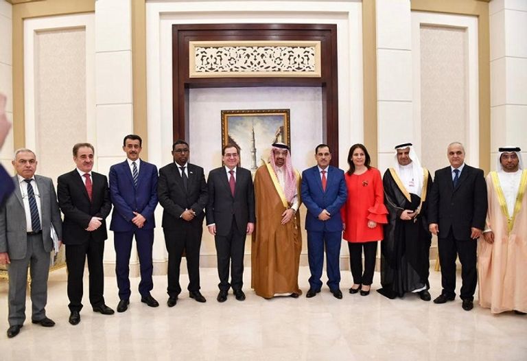 الرئيس المصري عبد الفتاح السيسي يستمع لشرح من خالد الفالح وزير الطاقة السعودي