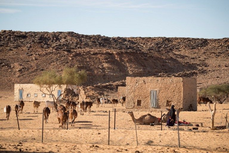 المدن التاريخية بالصحراء الموريتانية تحاول الخروج من النسيان