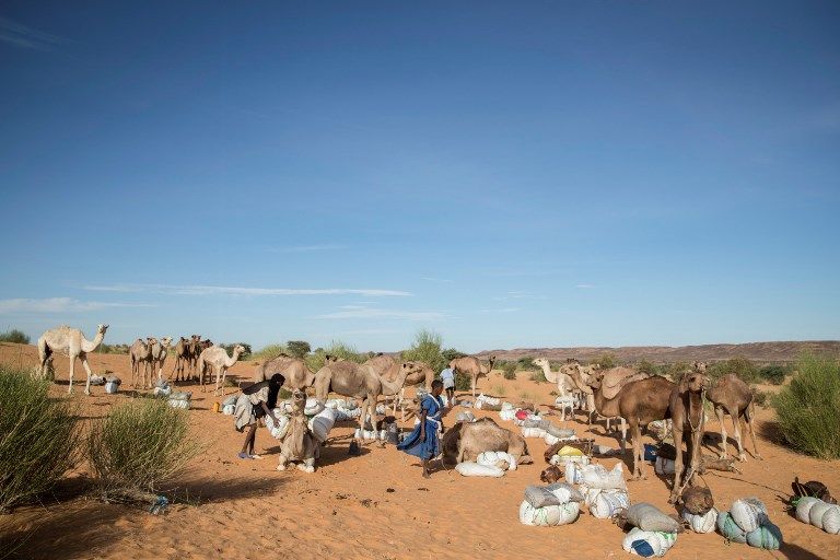 المدن التاريخية بالصحراء الموريتانية تحاول الخروج من النسيان