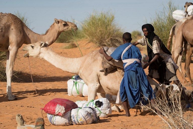 المدن التاريخية بالصحراء الموريتانية تحاول الخروج من النسيان