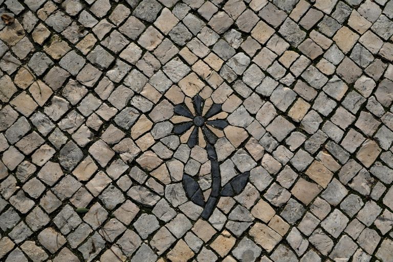 الرصافون في البرتغال يخشون اندثار تقليد عمره قرون