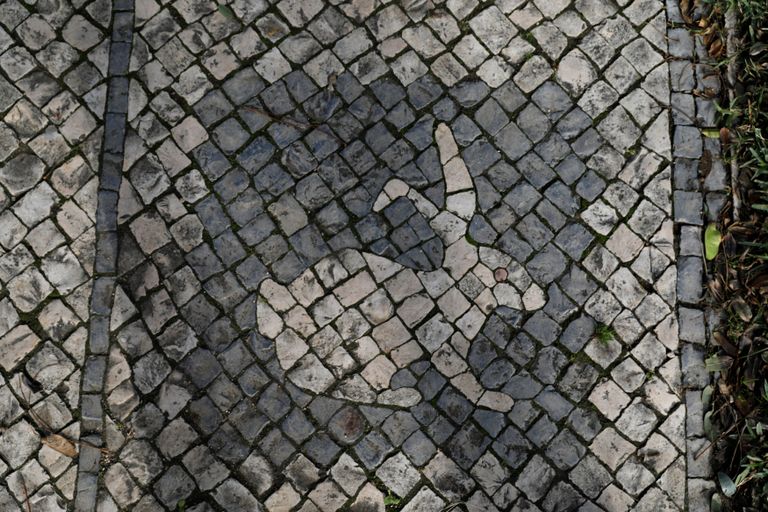 الرصافون في البرتغال يخشون اندثار تقليد عمره قرون