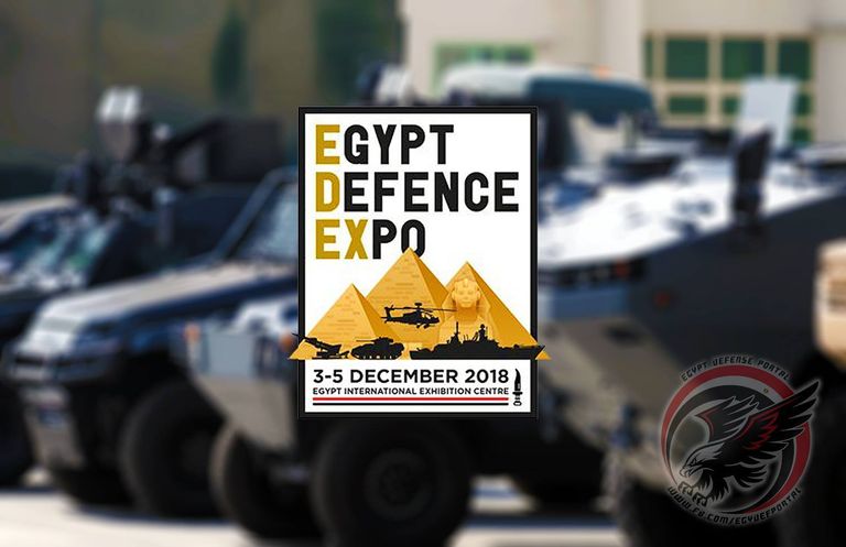وزير الدولة الإماراتي لشؤون الدفاع خلال لقائه نظيره المصري