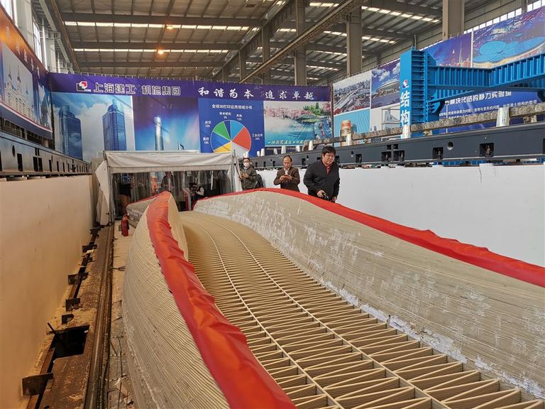 أول جسر ثلاثي الأبعاد في الصين