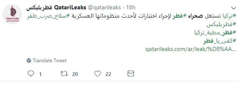 أردوغان وتميم