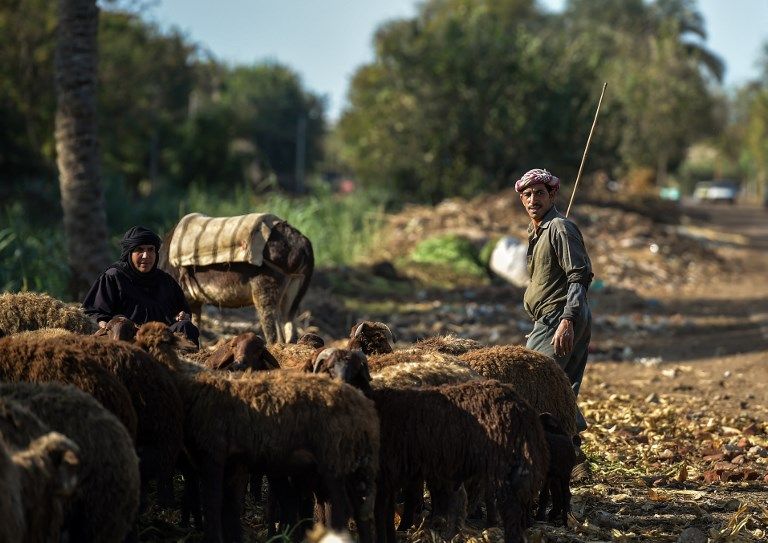 عدد سكان مصر نحو 100 مليون نسمة