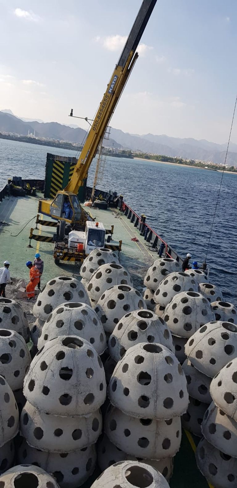 وزارة التغير المناخي والبيئة تنزل 200 كهف اصطناعي في المنطقة الشرقية