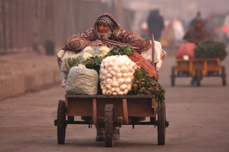  الهند تضم 14 من أكثر المدن تلوثا في العالم