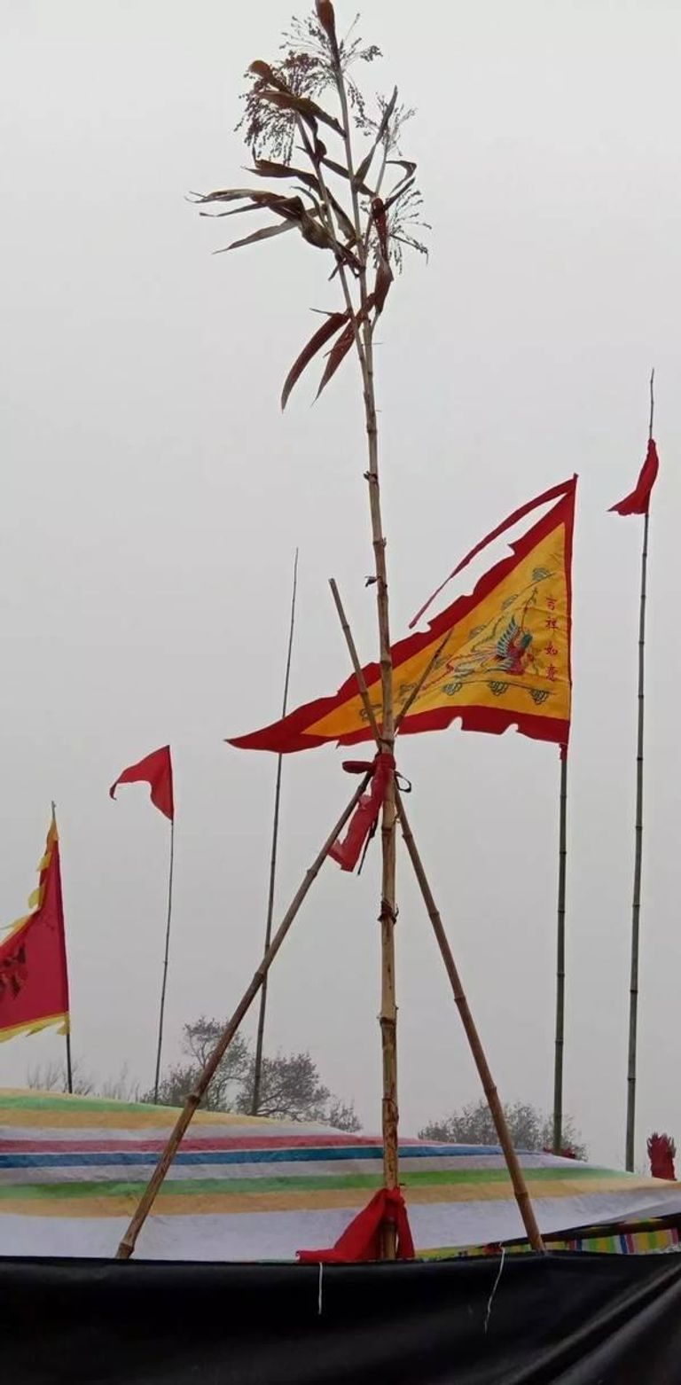 الأهالي يمارسون الطقوس الخرافية حول سيقان الذرة الرفيعة