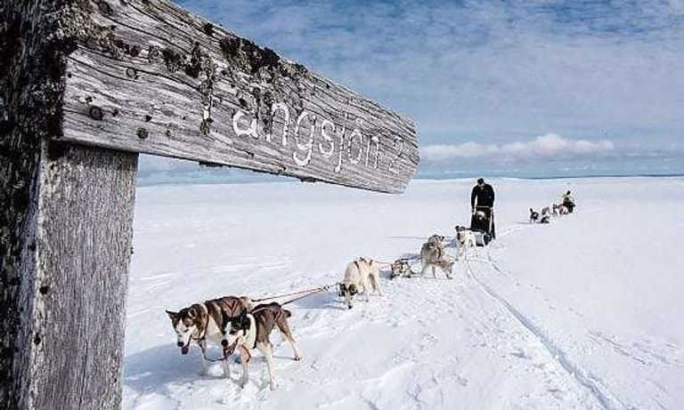 يمنع استخدام التكنولوجيا خلال تجربة "الديتوكس الرقمي" - صورة أرشيفية