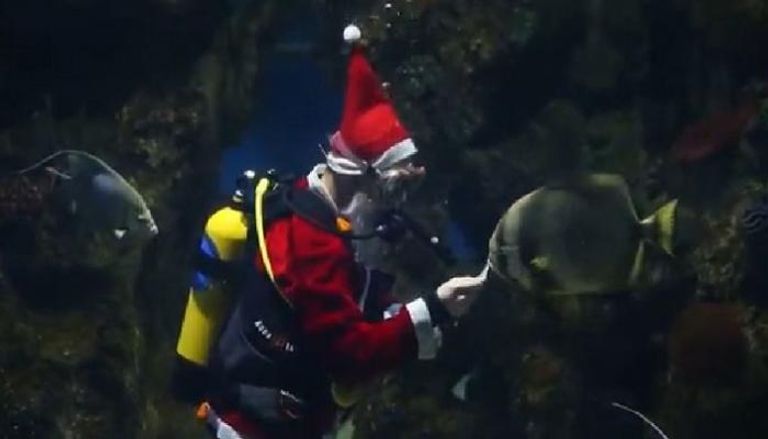 بابا نويل يقدم الطعام للأسماك في حوض سمك بمالطا