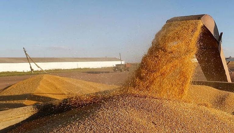  العراق أحد أكبر مستوردي الحبوب في الشرق الأوسط