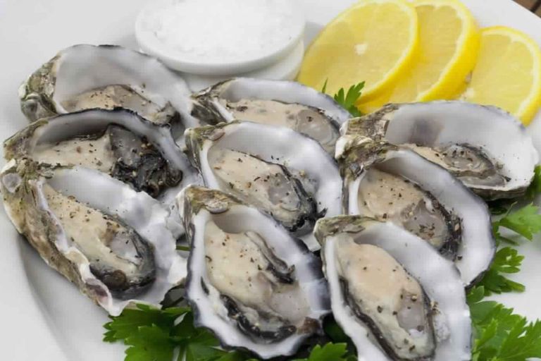 المحار أعراض نقص الحديد والأطعمة الغنية به