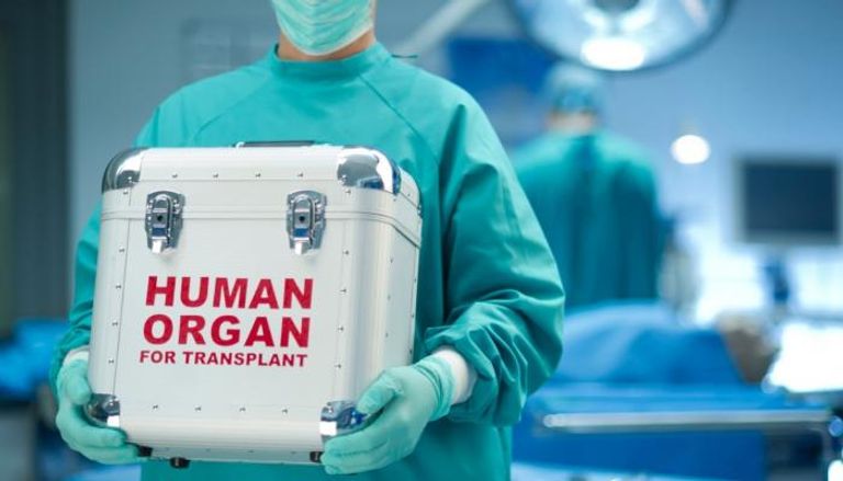 هولندا تعد مسودة قانون لتنظيم تجارة الأعضاء البشرية