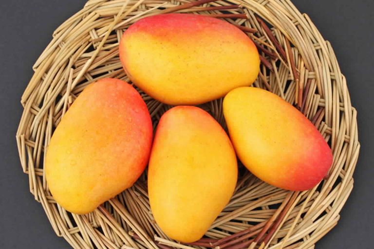 المانجو للوقاية من السرطان