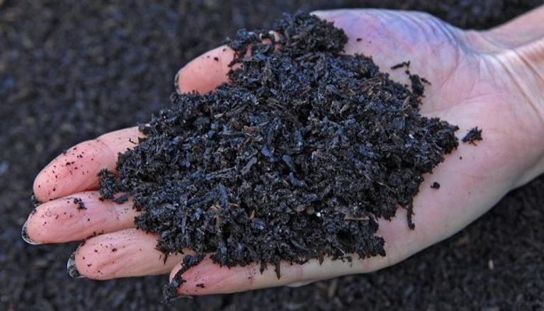 الفحم النباتي مفيد للتربة الرملية - صورة أرشيفية