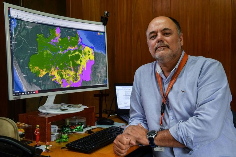 الأقمار الاصطناعية تواجه عمليات قطع الأشجار في الأمازون