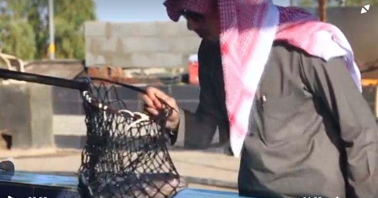 صاحب مطعم سعودي يربي السمك في الصحراء