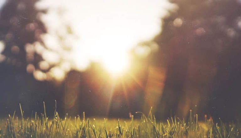 مواليد شهر ديسمبر يفضلون النمط الصباحي - أرشيفية