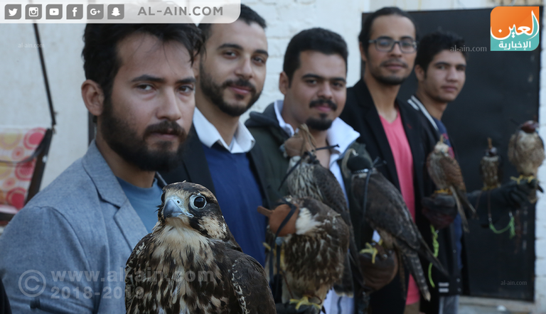 أحد مربي الصقور في مصر