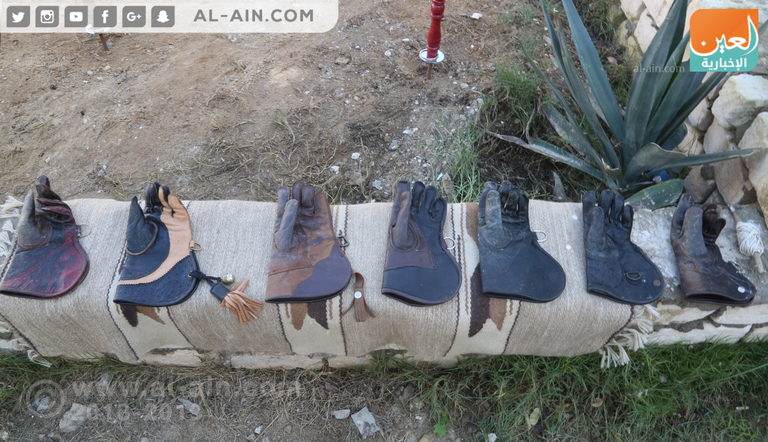 أحد مربي الصقور في مصر