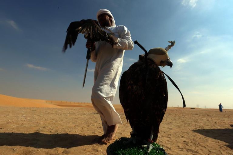 إقبال جماهيري على مهرجان الظفرة