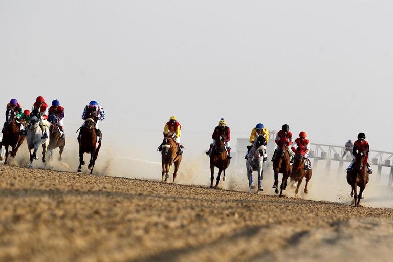 إقبال جماهيري على مهرجان الظفرة