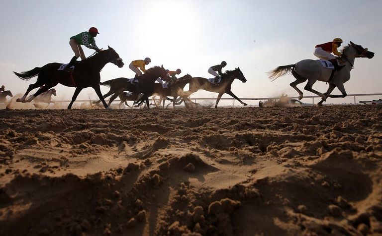 إقبال جماهيري على مهرجان الظفرة