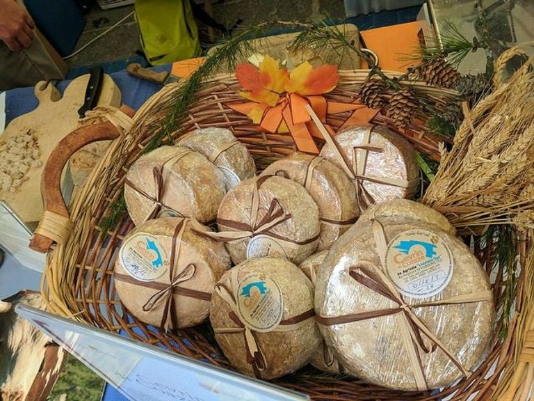 برا.. مدينة الجبن والعمارة الباروكية في إيطاليا