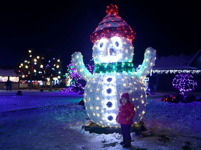 4 ملايين مصباح تحول مزرعة في كرواتيا إلى متنزه خيالي