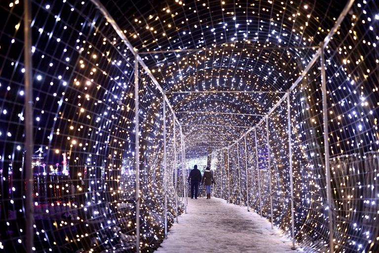 4 ملايين مصباح تحول مزرعة في كرواتيا إلى متنزه خيالي