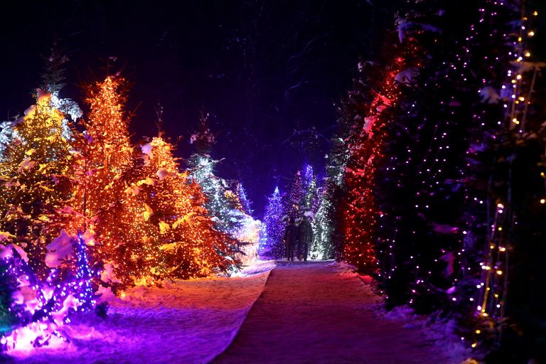 4 ملايين مصباح تحول مزرعة في كرواتيا إلى متنزه خيالي