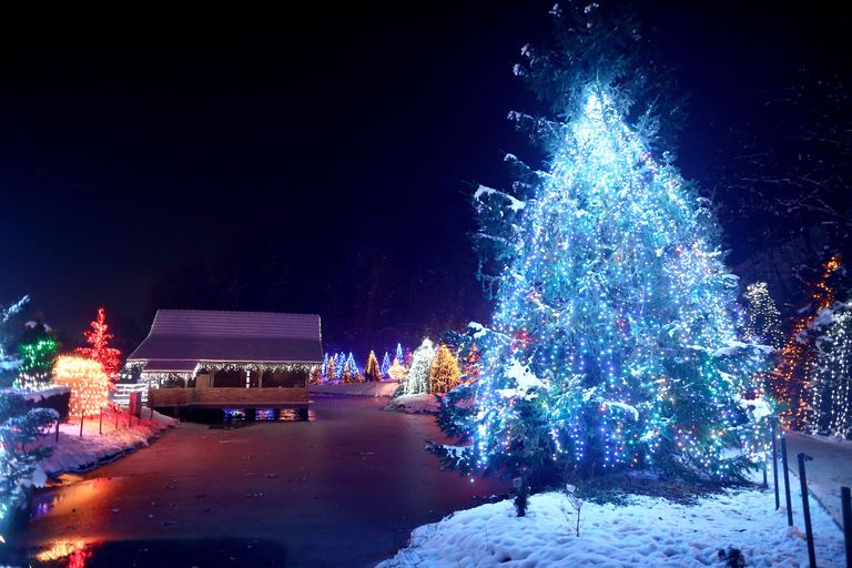 4 ملايين مصباح تحول مزرعة في كرواتيا إلى متنزه خيالي