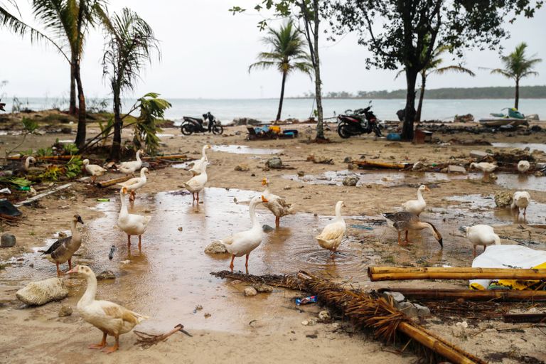 تسونامي إندونيسيا يقتل أكثر من 280 شخصا