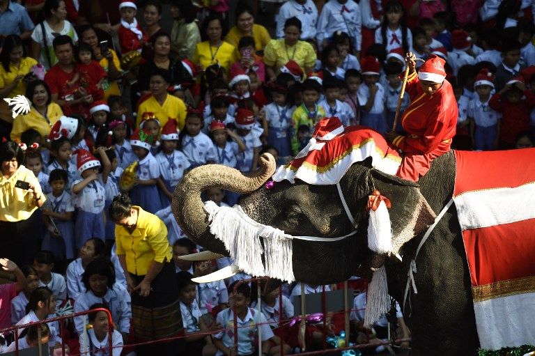 فرقة أفيال توزع هدايا عيد الميلاد على أطفال في تايلاند