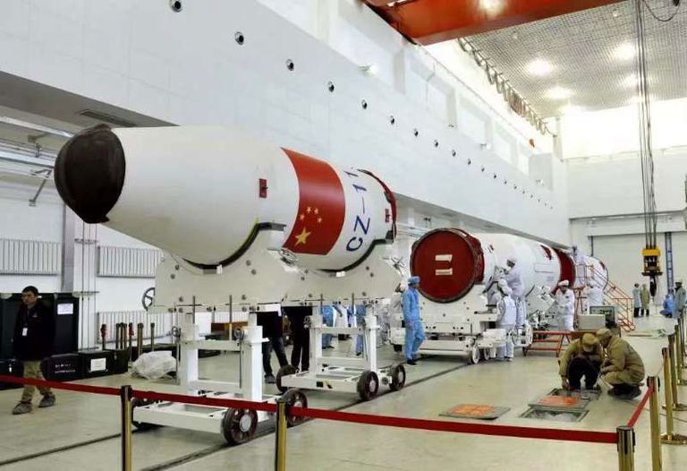 نمر صيني مهدد بالانقراض