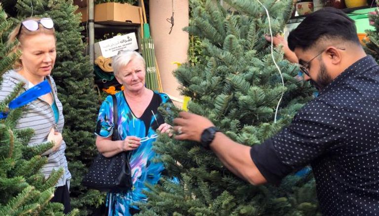رواج بيع أشجار عيد الميلاد الطبيعية بين المقيمين في دبي