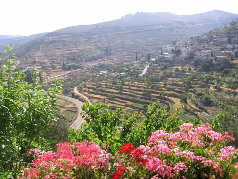 أعمال التجريف الإسرائيلية