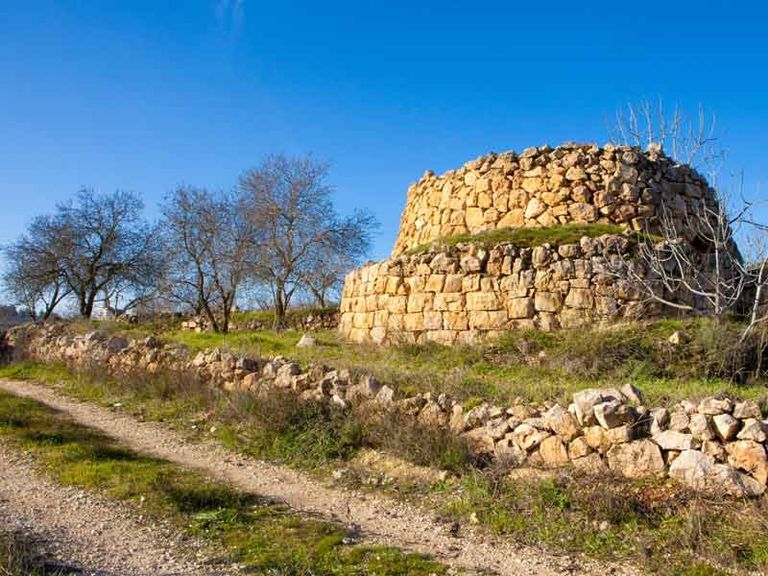 أعمال التجريف الإسرائيلية