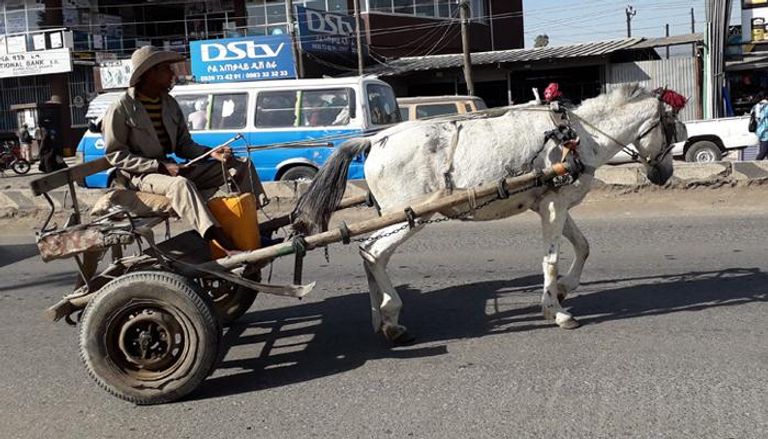 عربة يجرها حصان في مدينة أديس أبابا