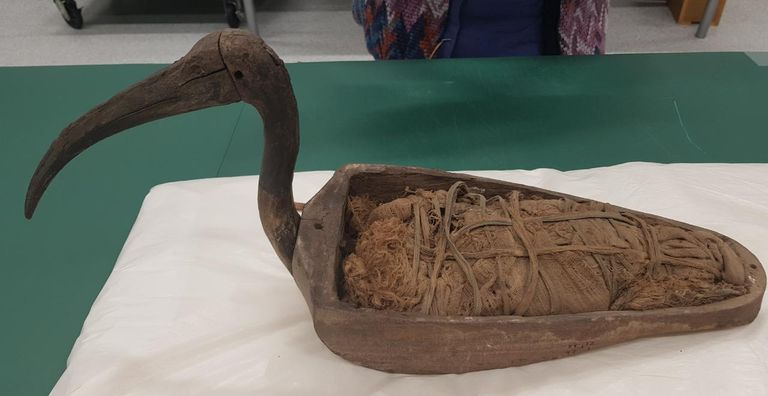 نقل 559 قطعة أثرية إلى المتحف المصري الكبير