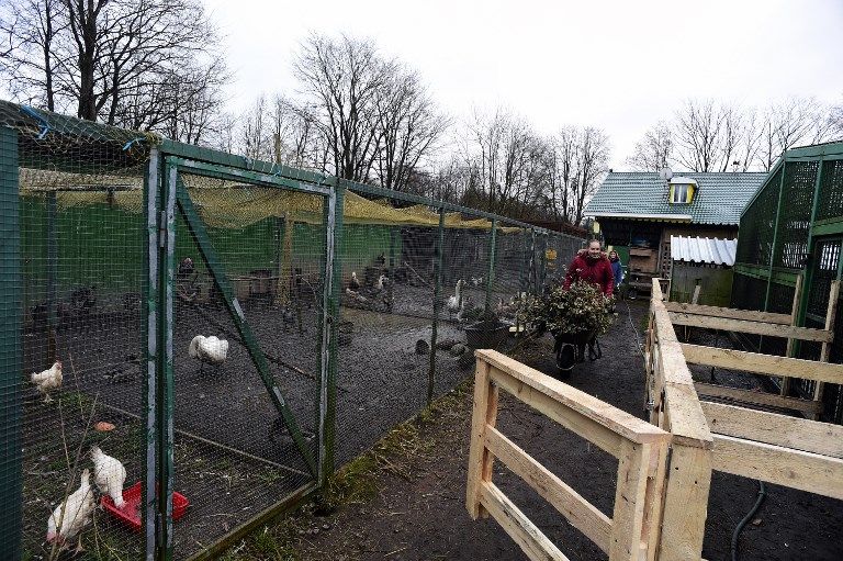 مركز للحيوانات البرية في روسيا