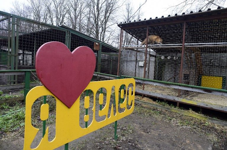 مركز للحيوانات البرية في روسيا