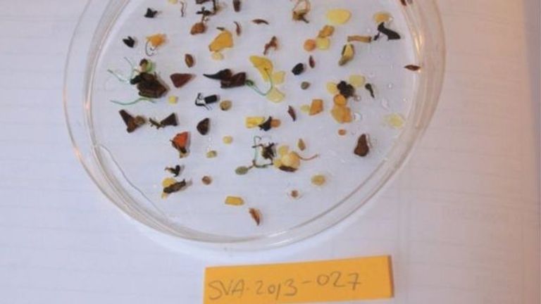 عينات البلاستيك التي عثر عليها في المياه