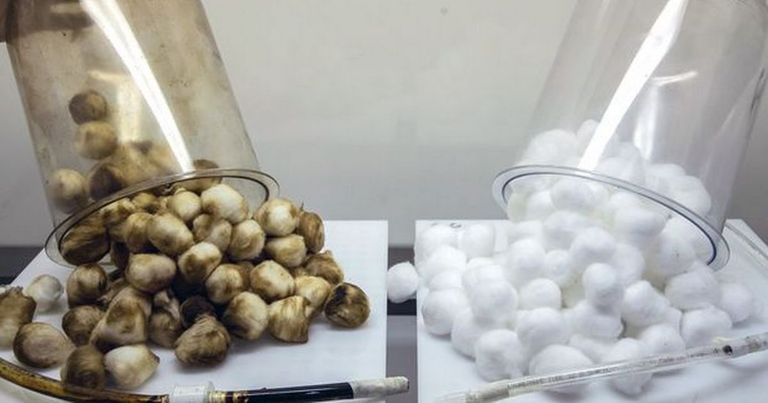 خبراء وزارة الصحة البريطانية يعرضون نتائج التجربة