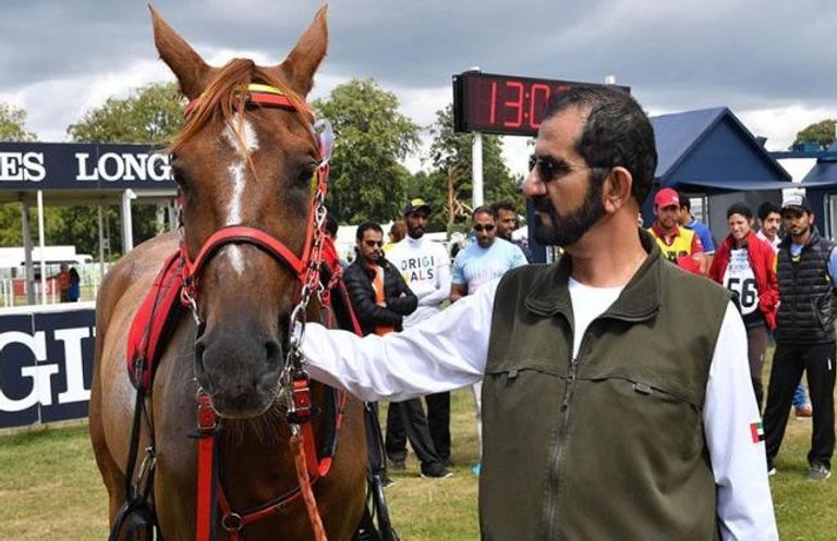 الشيخ محمد بن راشد آل مكتوم