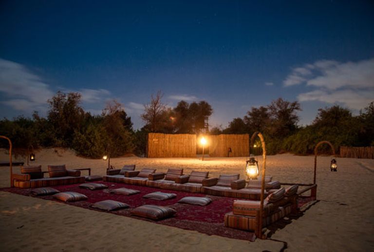 محمية دبي الصحراوية- أرشيفية