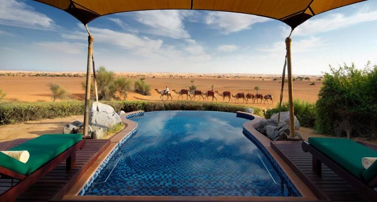 محمية دبي الصحراوية- أرشيفية